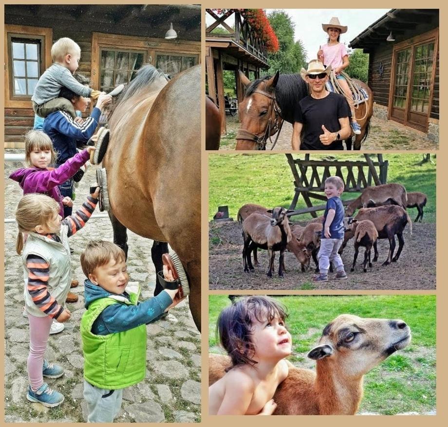 Tamarynowa Osada - Kraina Udanego Wypoczynku Villa Lowyn Buitenkant foto