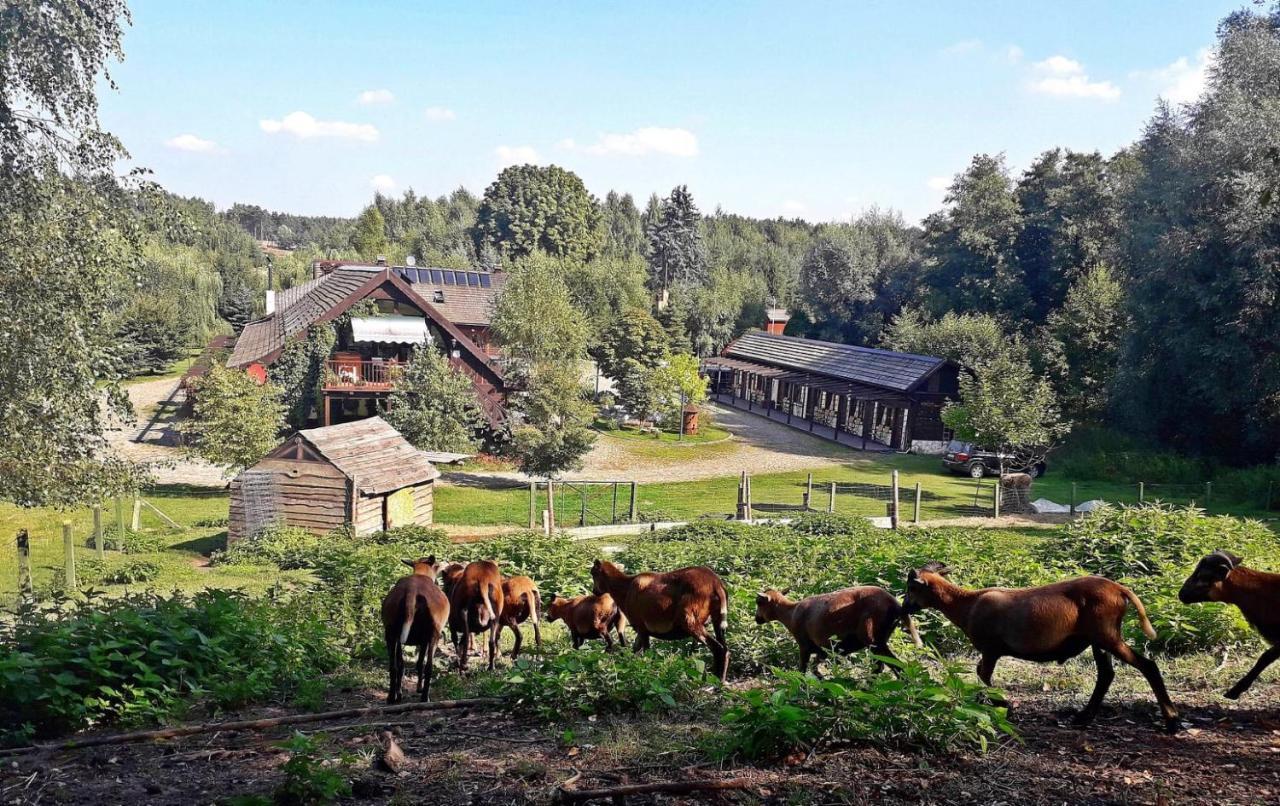 Tamarynowa Osada - Kraina Udanego Wypoczynku Villa Lowyn Buitenkant foto