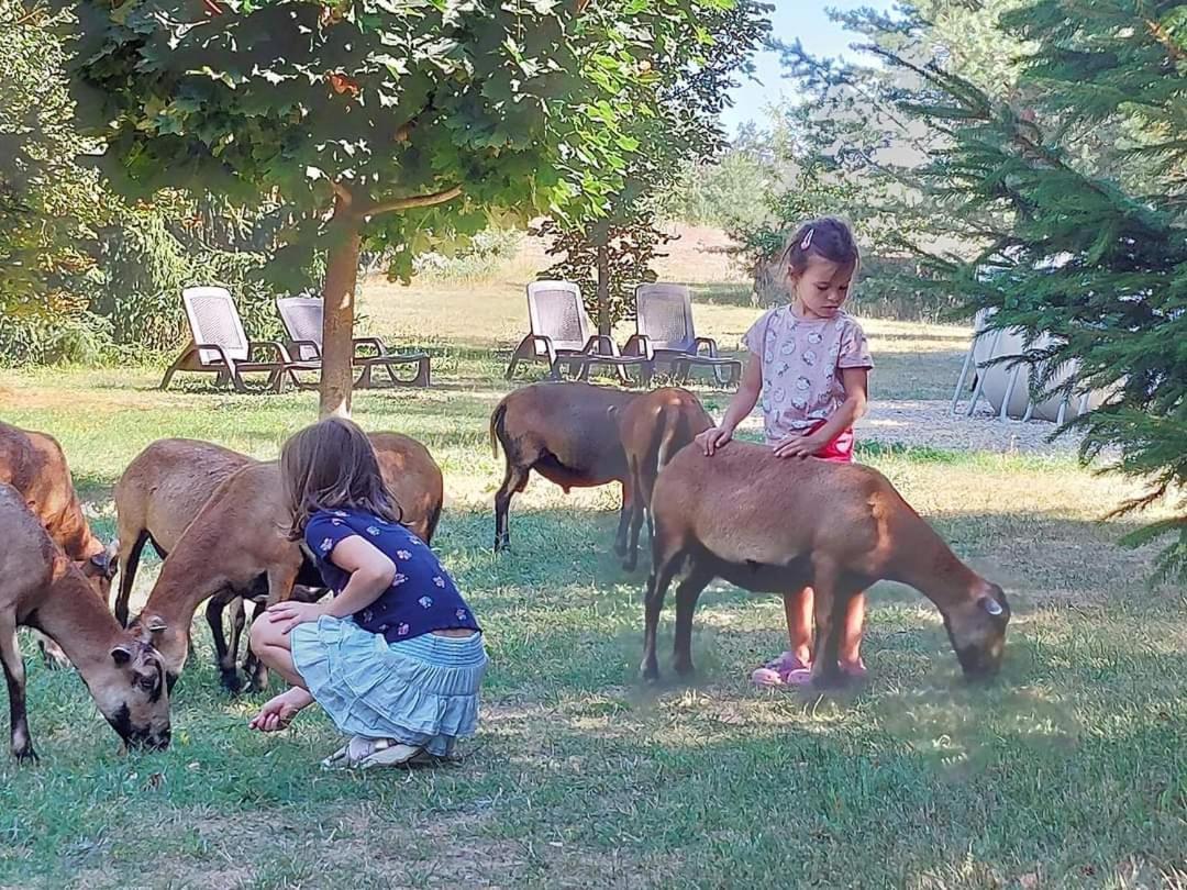 Tamarynowa Osada - Kraina Udanego Wypoczynku Villa Lowyn Buitenkant foto